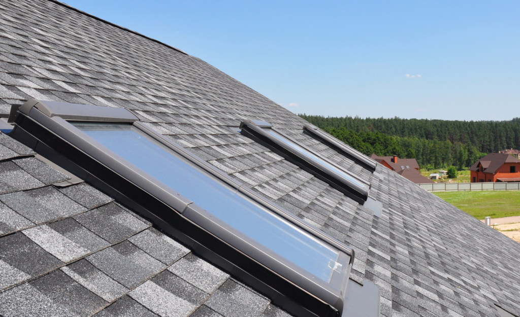 roof with skylights